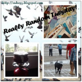 Really Random Tuesday